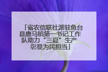 省农信联社派驻鱼台县唐马镇第一书记工作队助力“三夏”生产 彰显为民担当