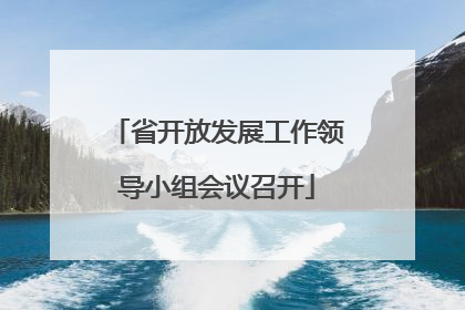 省开放发展工作领导小组会议召开