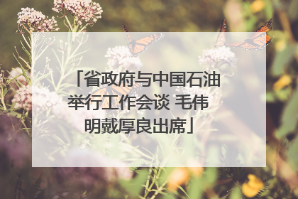 省政府与中国石油举行工作会谈 毛伟明戴厚良出席