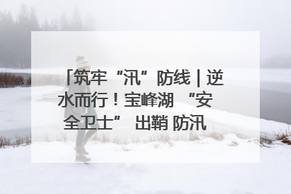 筑牢“汛”防线｜逆水而行！宝峰湖 “安全卫士” 出鞘 防汛应急再添硬核力量