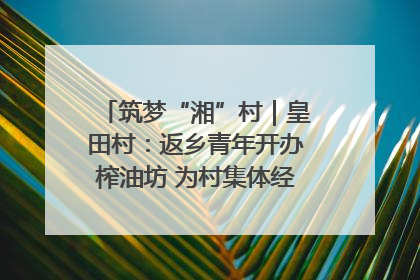 筑梦“湘”村｜皇田村：返乡青年开办榨油坊 为村集体经济“加油”