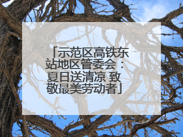 示范区高铁东站地区管委会：夏日送清凉 致敬最美劳动者