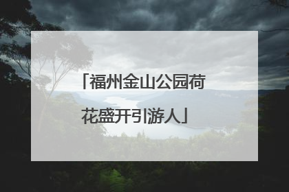 福州金山公园荷花盛开引游人