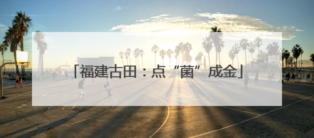 福建古田：点“菌”成金