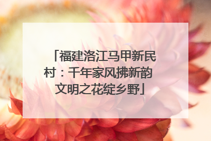 福建洛江马甲新民村：千年家风拂新韵 文明之花绽乡野