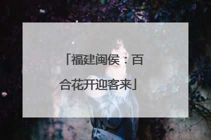 福建闽侯：百合花开迎客来