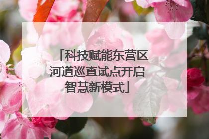 科技赋能东营区河道巡查试点开启智慧新模式
