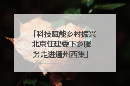 科技赋能乡村振兴 北京住建委下乡服务走进通州西集