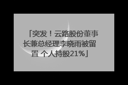 突发！云路股份董事长兼总经理李晓雨被留置 个人持股21%
