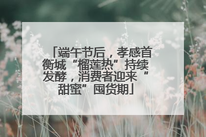 端午节后，孝感首衡城“榴莲热”持续发酵，消费者迎来“甜蜜”囤货期