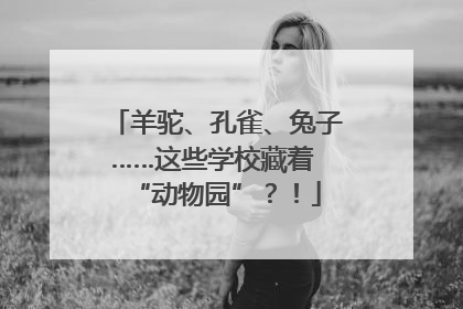 羊驼、孔雀、兔子……这些学校藏着 “动物园”？！