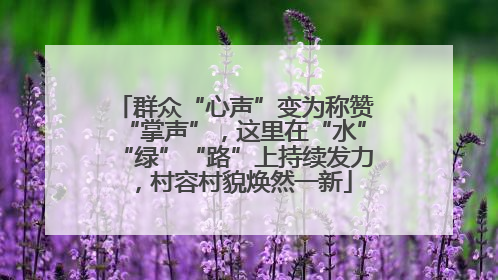 群众“心声”变为称赞“掌声”，这里在“水”“绿”“路”上持续发力，村容村貌焕然一新