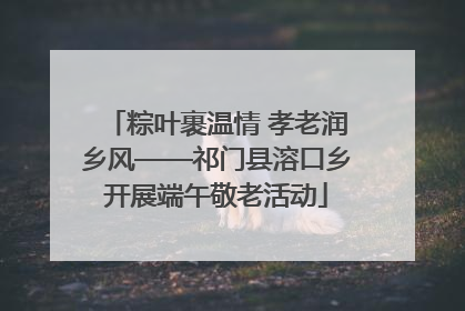 粽叶裹温情 孝老润乡风——祁门县溶口乡开展端午敬老活动