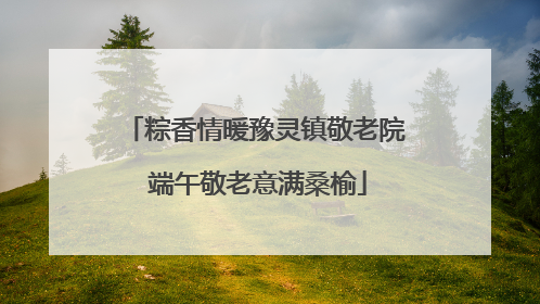 粽香情暖豫灵镇敬老院 端午敬老意满桑榆