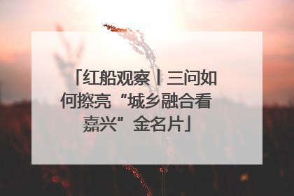 红船观察丨三问如何擦亮“城乡融合看嘉兴”金名片