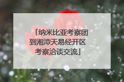 纳米比亚考察团到湘潭天易经开区考察洽谈交流