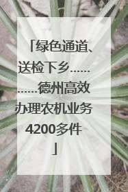 绿色通道、送检下乡…………德州高效办理农机业务4200多件