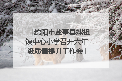 绵阳市盐亭县嫘祖镇中心小学召开六年级质量提升工作会