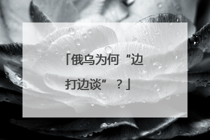 俄乌为何“边打边谈”？
