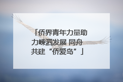 侨界青年力量助力嵊泗发展 同舟共建“侨爱岛”