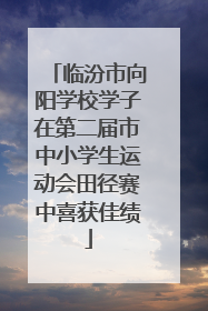 临汾市向阳学校学子在第二届市中小学生运动会田径赛中喜获佳绩