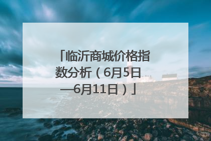 临沂商城价格指数分析（6月5日—6月11日）