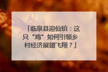 临泉县迎仙镇：这只“鸡”如何引领乡村经济展翅飞翔？