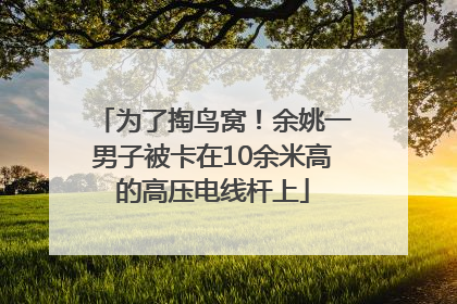 为了掏鸟窝！余姚一男子被卡在10余米高的高压电线杆上