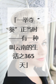 一举夺“葵”正当时——有一种叫云南的生活之365天