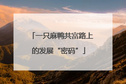 一只麻鸭共富路上的发展“密码”