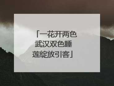 一花开两色 武汉双色睡莲绽放引客