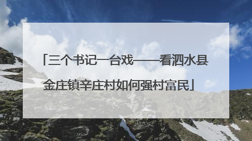 三个书记一台戏——看泗水县金庄镇辛庄村如何强村富民