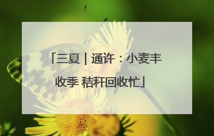 三夏｜通许：小麦丰收季 秸秆回收忙