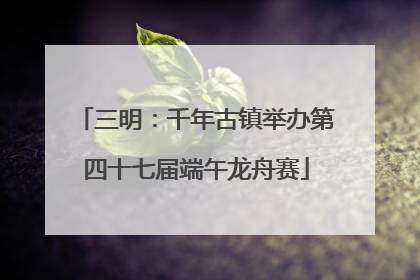 三明：千年古镇举办第四十七届端午龙舟赛