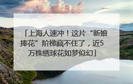 上海人速冲!这片“新娘捧花”阶梯藏不住了,近5万株绣球花如梦似幻