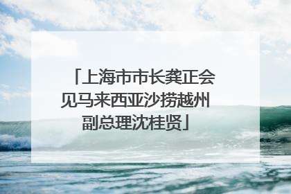 上海市市长龚正会见马来西亚沙捞越州副总理沈桂贤