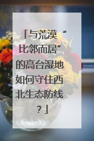 与荒漠“比邻而居”的高台湿地如何守住西北生态防线？