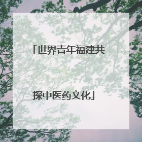 世界青年福建共探中医药文化