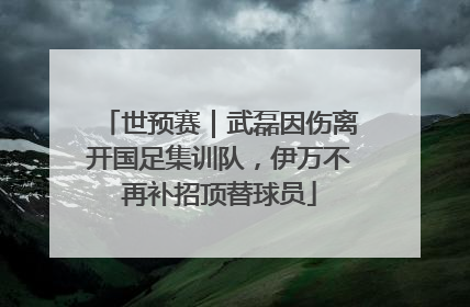 世预赛｜武磊因伤离开国足集训队，伊万不再补招顶替球员