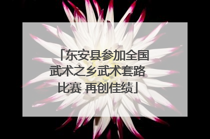 东安县参加全国武术之乡武术套路比赛 再创佳绩