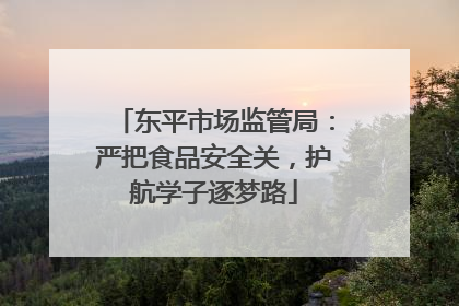 东平市场监管局：严把食品安全关，护航学子逐梦路