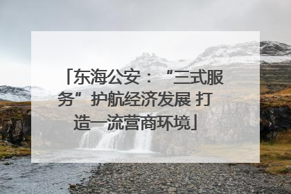 东海公安：“三式服务”护航经济发展 打造一流营商环境