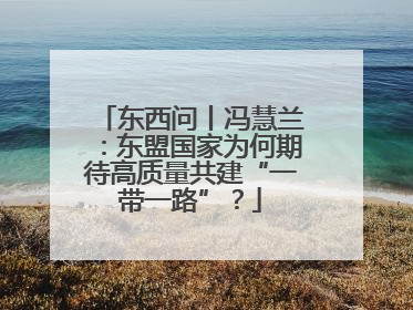 东西问丨冯慧兰：东盟国家为何期待高质量共建“一带一路”？