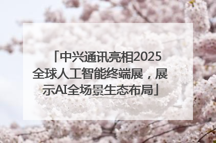 中兴通讯亮相2025全球人工智能终端展，展示AI全场景生态布局