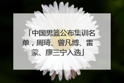 中国男篮公布集训名单,周琦、曾凡博、雷蒙、廖三宁入选