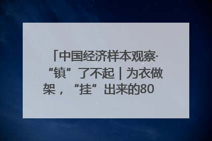 中国经济样本观察·“镇”了不起｜为衣做架，“挂”出来的80亿元“衣架产业”
