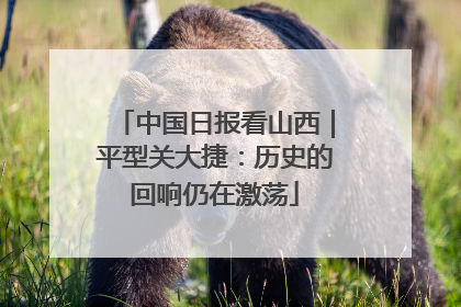 中国日报看山西｜平型关大捷：历史的回响仍在激荡