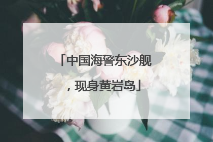 中国海警东沙舰，现身黄岩岛
