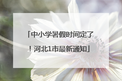 中小学暑假时间定了！河北1市最新通知