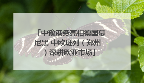 中豫港务亮相德国慕尼黑 中欧班列（郑州）深耕欧亚市场